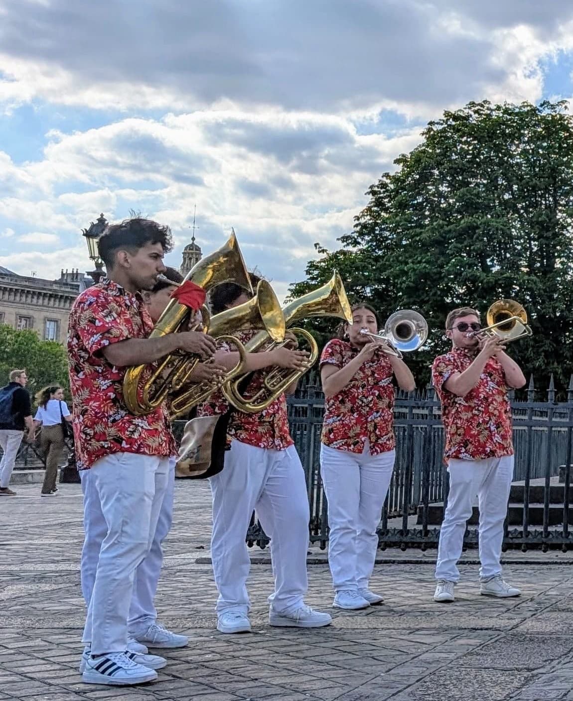 Papayera